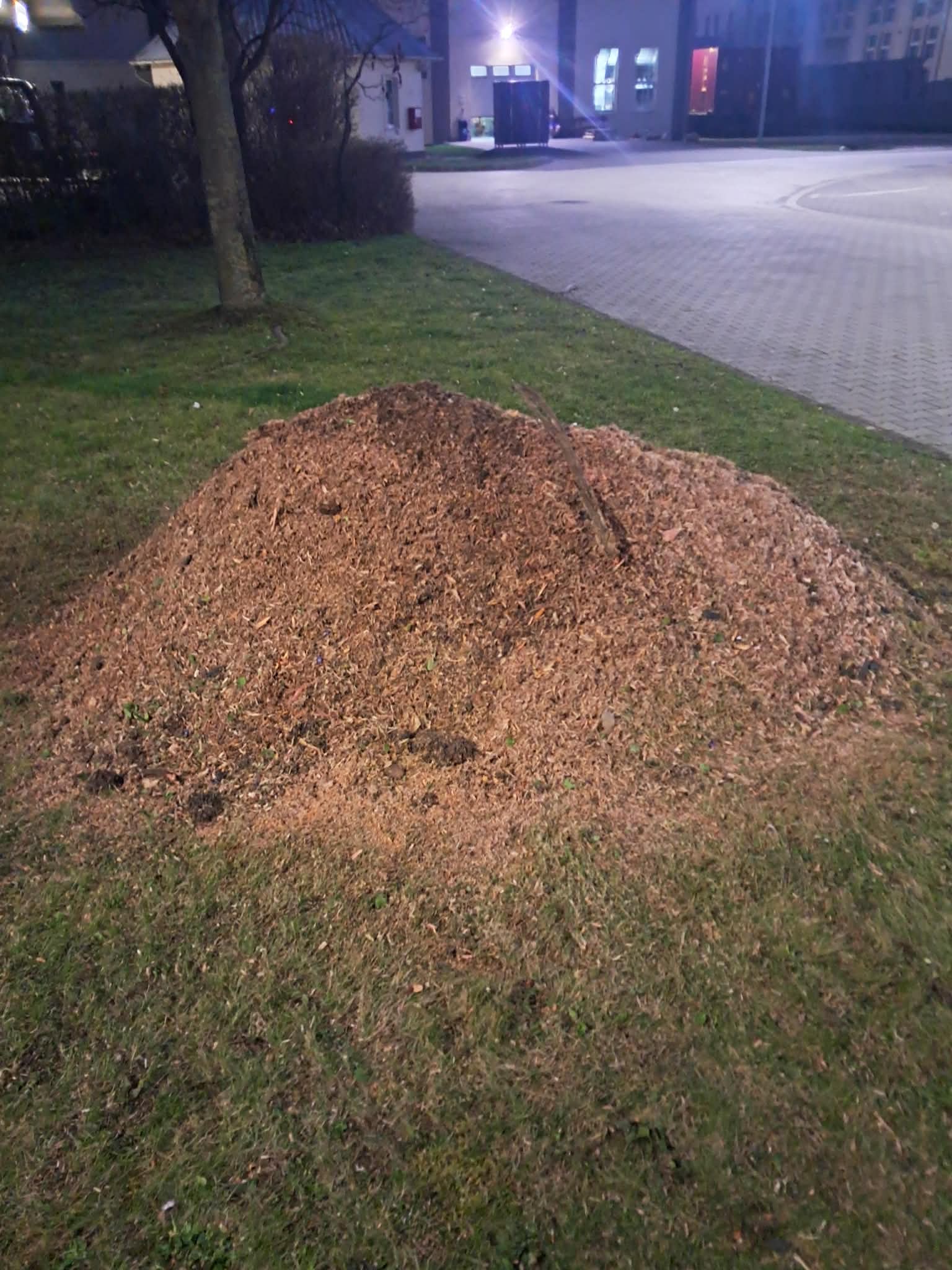 Tuskómarás — befejezett munka